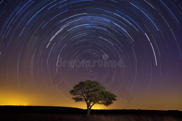 星光大道，孤树褐草，光线柔和