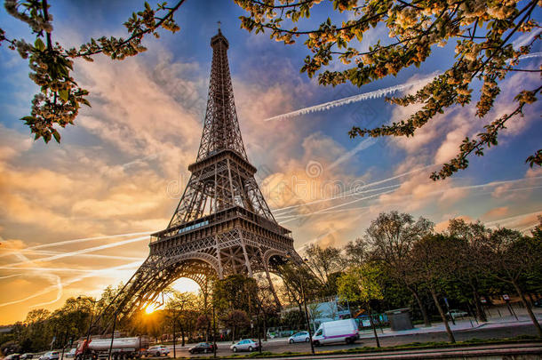 法国巴黎的埃菲尔铁塔和春天的树