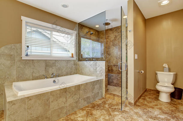 带玻璃门淋浴的现代浴室内部