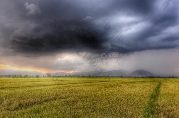 雨季