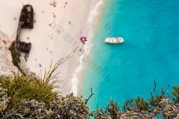 一朵紫罗兰花，峭壁上有锈迹斑斑的沉船
