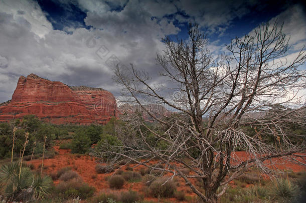 美国亚利桑那州塞多纳附近有红岩的自然景观
