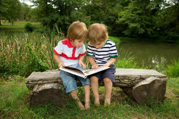 可爱的<strong>双胞胎兄弟</strong>坐在一个木制长凳上，非常仔细地看书，在美丽的湖边
