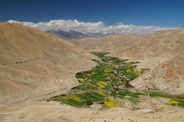 拉达克拉高山峡谷<strong>的</strong>美丽风景，有明亮<strong>的</strong>树叶和黄色<strong>的田野</strong>，四周是崎岖<strong>的</strong>岩石