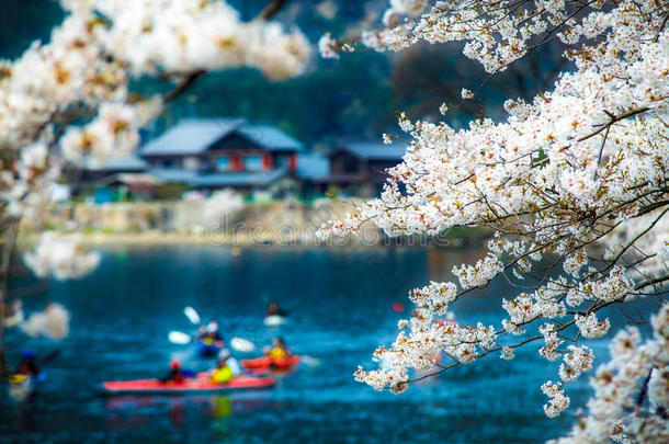 日本樱花节