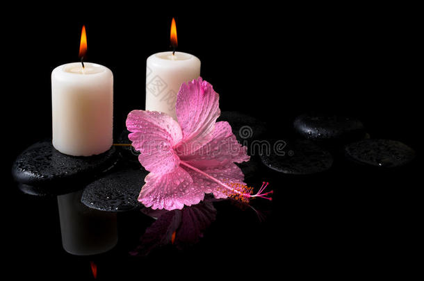 美丽的spa静物水疗，精致的粉红色芙蓉，蜡烛