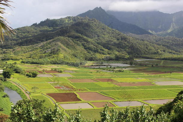 <strong>野生动物保护区</strong>和美丽的风景