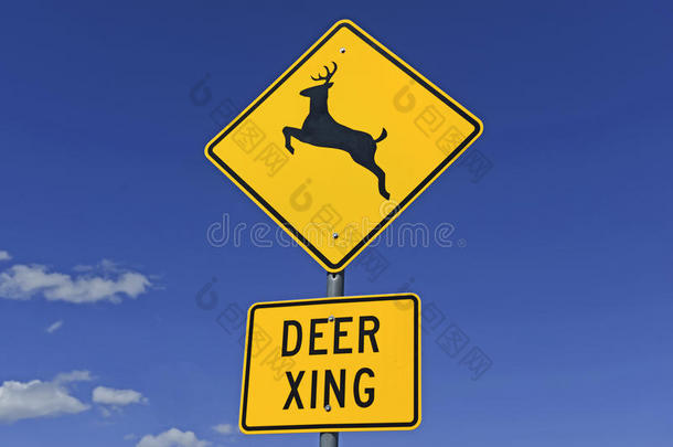 空旷道路上鹿过马路警告标志