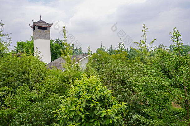 阴天夏日树林中的房子和塔楼