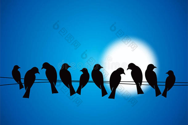 很多鸟在夜空中的电话<strong>线上</strong>