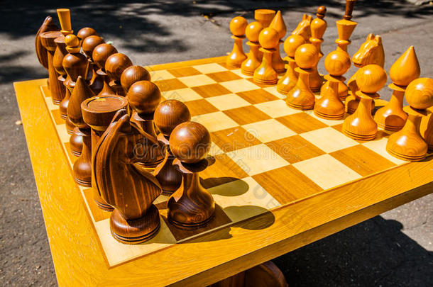 国际象棋比赛和同时进行的象棋展示