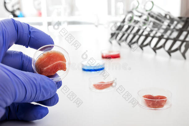 实验室养殖肉