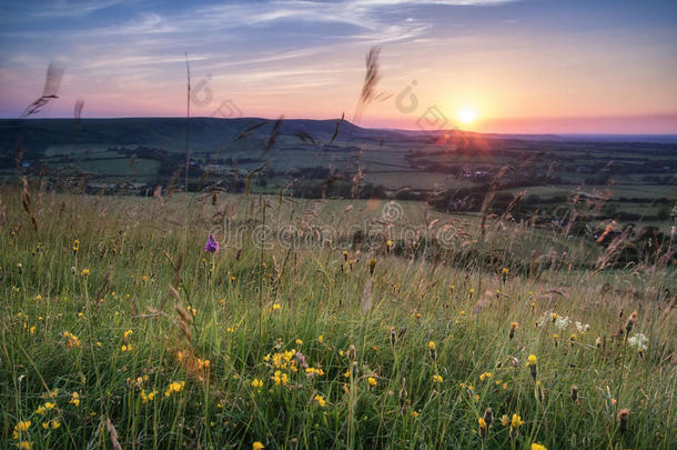 夏日夕阳下的英国乡村风景