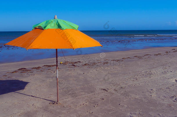 橙色伞