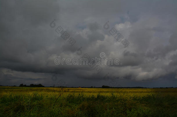 暴风雨席卷田野