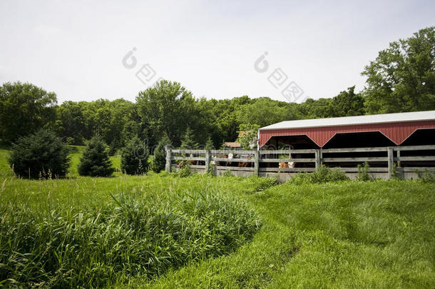 夏季的农业背景和农村生活。