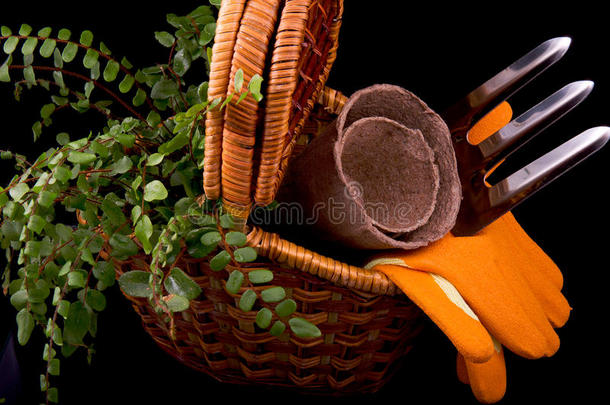 泥炭罐，幼苗，<strong>耙子</strong>，橙色手套，植物和篮子