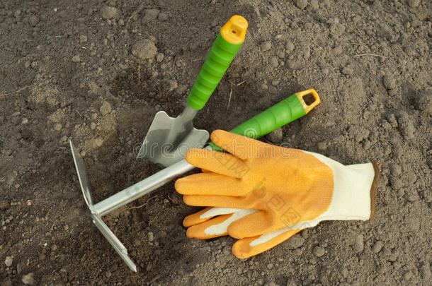 绿色的铲子和耙子，苗木的花园手套