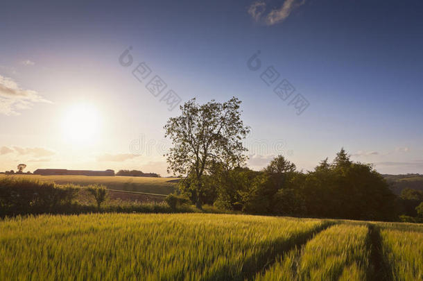 壮观的天空，田园诗般的田园风光，英国科茨沃尔德