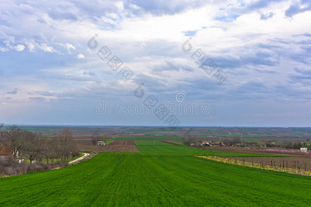 早春多瑙河附近的农田