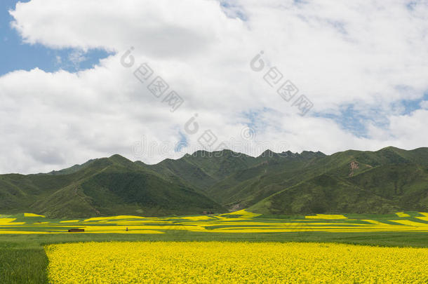 青山绿水