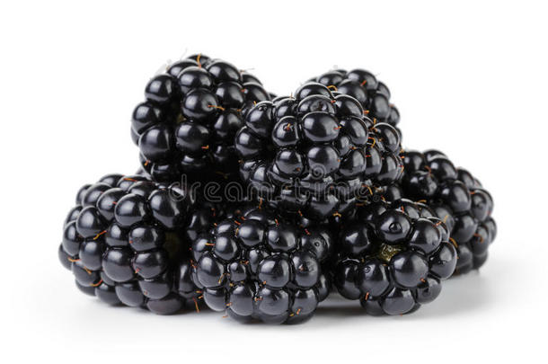 成熟有机黑莓