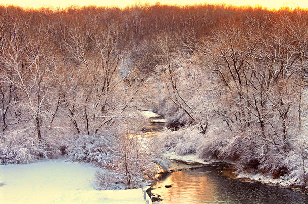 伊利诺斯州柳树溪冬景