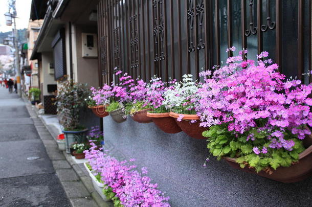 日本清水寺