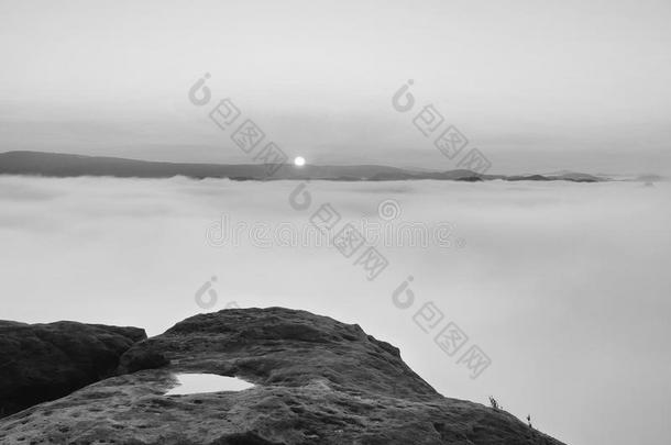 浓雾笼罩着瑞士萨克森州的深谷，浓雾弥漫。沙岩山峰从浓雾的背景、阳光下增加
