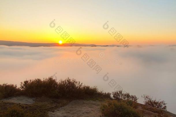 在一座美丽的山上有石南和日出的岩石。砂岩山峰从雾的背景增加，雾是橙色的嘟嘟