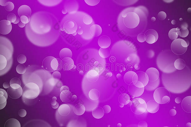 波基在紫色渐变上旋转