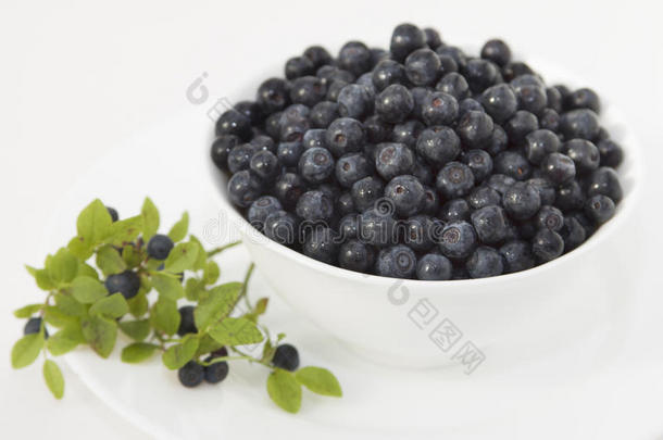 蓝莓放在一个白色的碗里，放在一个白色的盘子里