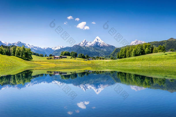 阿尔卑斯山湖光山色的夏日田园风光