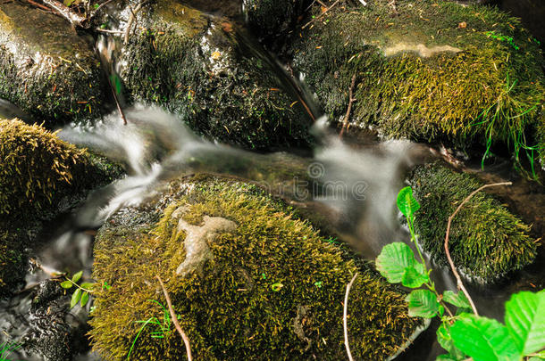森林里的石头。格但斯克奥利瓦公园的小溪。