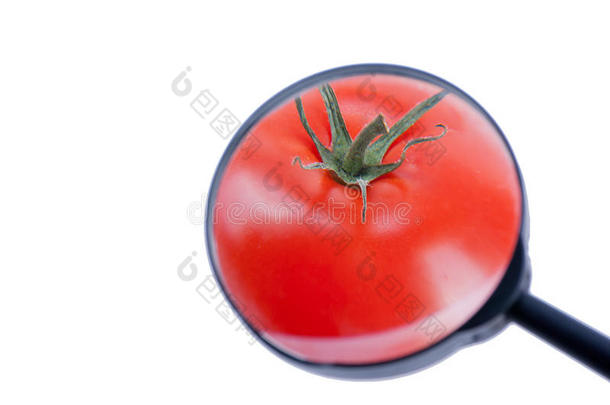 番茄检验