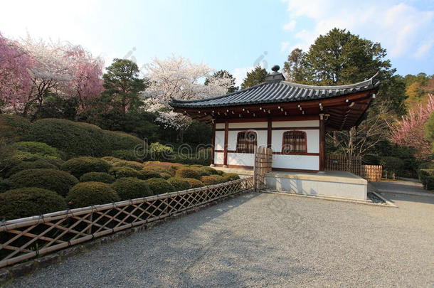 龙井寺，京都，日本。