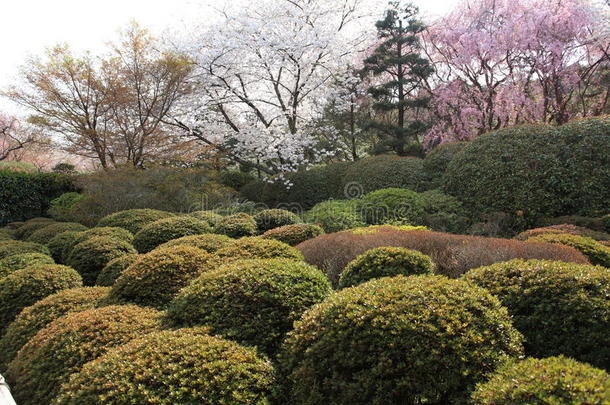 琉璃寺花园