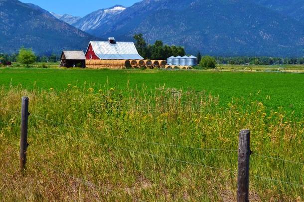 美丽的蒙大拿州红色谷仓景观