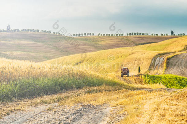 意大利托斯卡纳温暖阳光下的田野与和平
