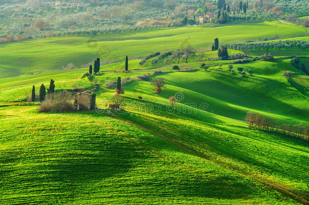 意大利托斯卡纳景观中的<strong>大气</strong>绿色春天