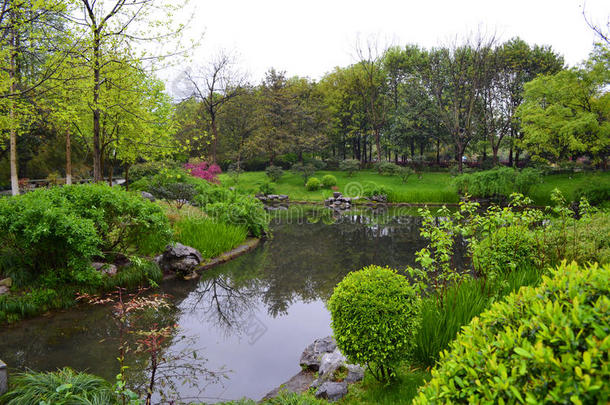 水景