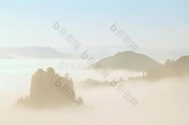 美丽的<strong>雾</strong>景，柔和的粉红色薄<strong>雾</strong>日出在美丽的萨克森<strong>山</strong>谷瑞士公园。<strong>雾</strong>中的小<strong>山</strong>。