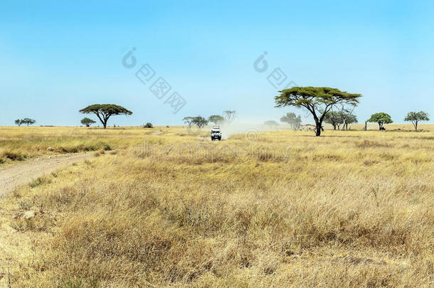 坦桑尼亚旅行车