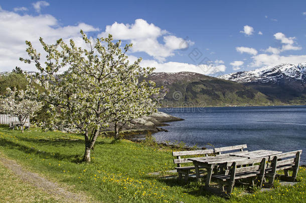 挪威的春天