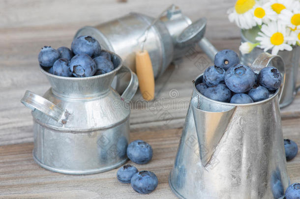 金属餐具中的蓝莓