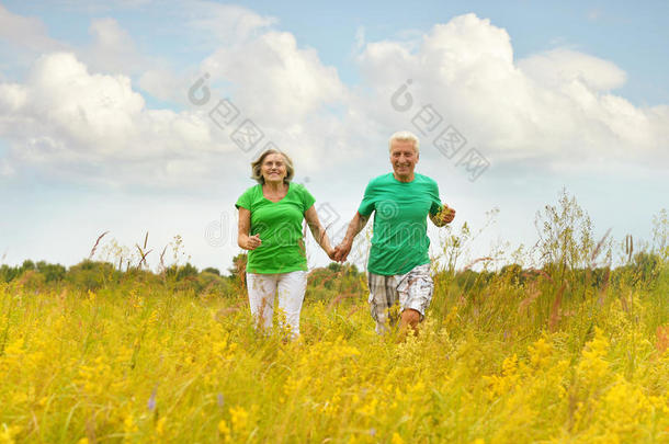 老年夫妇在夏季田里跑步