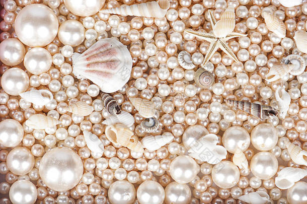 珍珠和珍珠贝壳的背景