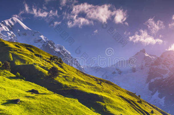 特努尔迪冰川脚下高山草甸全景图