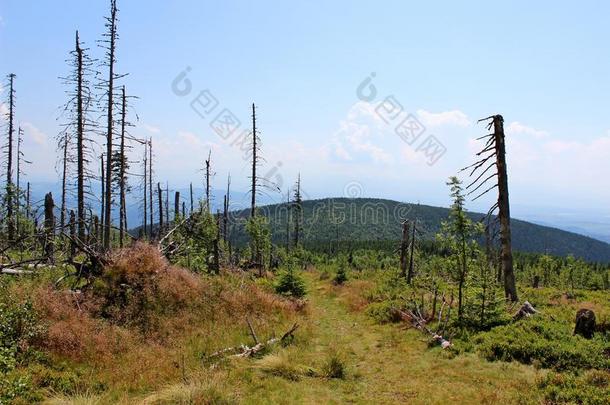 babia gora mountain-beskid zywiecki，波兰