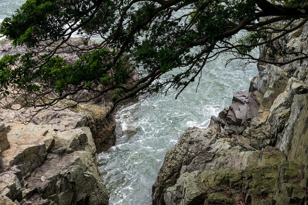 亚洲亚洲的海岸沿海森林